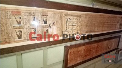 الآثار المصرية بين الترميم والعرض المتحفي.. جهود متواصلة لحماية ذاكرة الحضارة | صور 