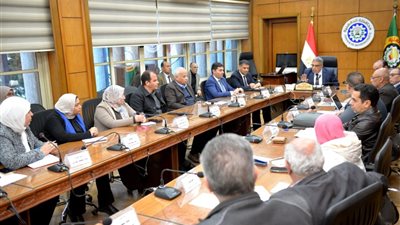 محافظ الدقهلية يتابع مستجدات العمل بمشروع 