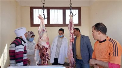 تحرير 63 مخالفة تموينية خلال حملات مكبرة على الأسواق والمخابز بالوادي الجديد