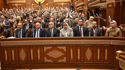 بحضور ممثلي الحكومة.. مالية الشيوخ تناقش تعديلات قانون الاستثمار غدًا 