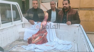  ضبط لحوم فاسدة ومخالفات بمخابز.. ومد الأوكازيون الشتوي حتى 21 مارس