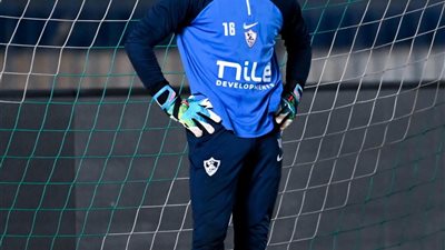 محمد صبحي