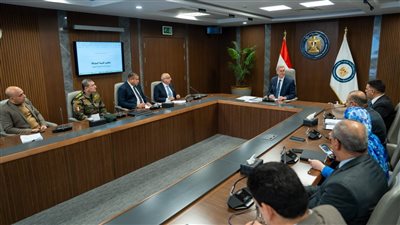 بعد موافقة مجلس الوزراء.. وزير البترول يبحث تنفيذ المسح الجوي الشامل للمعادن في مصر