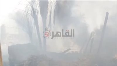 السيطرة على حريق 13 نخلة في إسنا بالأقصر دون إصابات