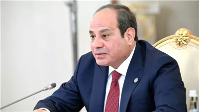 الرئيس السيسي يستقبل رئيس جامعة هيروشيما اليابانية لتعزيز التوسع في المجالات التعليمية والتربوية