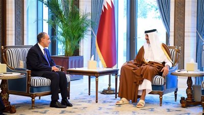 وزير الخارجية لأمير قطر: أمن دول الخليج العربي جزء لا يتجزأ من الأمن القومي المصري 