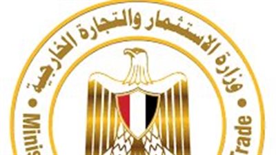 طلب 75 ألف جنيه.. الاستثمار تتحرك لضبط سمسار عقار مارس المهنة دون ترخيص