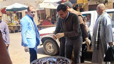 ضبط 860 كيلو لحوم وأسماك مملحة فاسدة بسوهاج