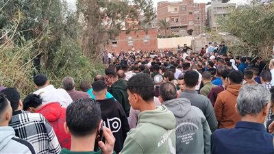 مصرع 4 أطفال إثر سقوط عربة كارو بترعة قرية البستان في دمياط