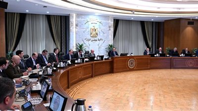 قرار بمنح الجنسية المصرية لـ40 شخصا من جنسيات عربية