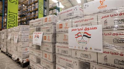 مصر تُرسل 1000 طن من المساعدات الإغاثية إلى لبنان