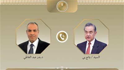 وزيرا خارجية مصر والصين: اتفاق على مواصلة التنسيق المشترك لخفض التوتر وتحقيق الاستقرار الإقليمي