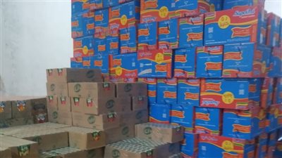 ضبط 2800 كيس إندومي دون فواتير.. وعجز 325 لتر بنزين بمحطة وقود خلال حملات بالغربية