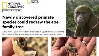 مجلة ناشيونال جيوغرافيك العالمية تحتفي بالاكتشاف المصري 