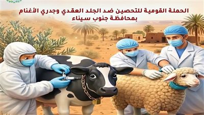انطلاق الحملة القومية للتحصين ضد الجلد العقدي وجدري الأغنام بجنوب سيناء