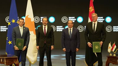 الرئيس السيسي يتفق مع رئيس قبرص على تشكيل لجنة لبحث مشروعات الإنتاج البحري قبالة السواحل القبرصية