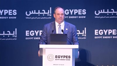 رؤساء شركات عالمية: توسع مرتقب في استثمارات الطاقة بمصر