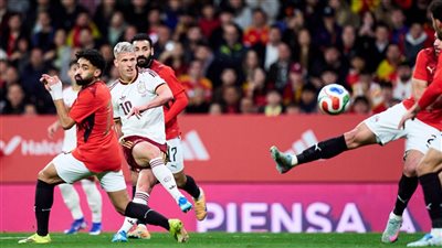 رئيس الاتحاد الإسباني عن الهتافات العنصرية: ما حدث غير مقبول.. وقدمت اعتذاري للجانب المصري
