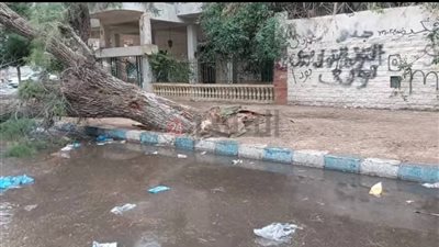 أمطار غزيرة تضرب مطروح والساحل الشمالي 
