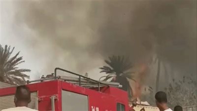 حريق نخيل في إسنا بالأقصر.. والحماية المدنية تدفع بـ5 سيارات إطفاء