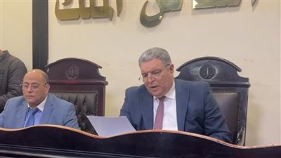 بقطعة خشبية.. السجن 15 سنة للمتهم بقتل ابنته في البحيرة