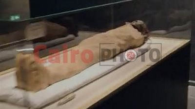 في الذكرى الخامسة لموكب المومياوات الملكية.. ننشر صورًا من داخل قاعة المومياوات بالمتحف القومي للحضارة