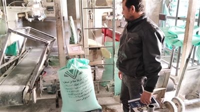 حملات تموينية مكثفة بالقليوبية تُحرر 53 مخالفة بالمخابز وتضبط مخالفات بالأسواق