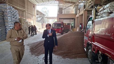 ضبط 27.5 طن فول مغشوش و210 عُلب تونة مجهولة المصدر خلال حملة تموينية مكبرة ببنها