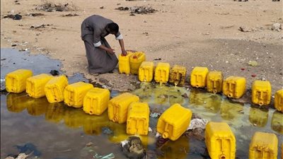 ضبط وإعدام 100 جركن زيت طعام غير صالح للاستهلاك الآدمي بالأقصر