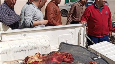 ضبط 156 كجم لحوم وأسماك فاسدة وتحرير 8 محاضر خلال حملات الطب البيطري ببني سويف