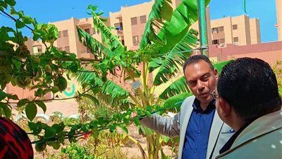 زيارة ميدانية لمتابعة العملية التعليمية والأنشطة التطبيقية بمدارس طور سيناء