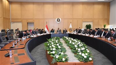 تحرك حكومي موسع لتنفيذ مشروع القرى المنتجة ضمن مبادرة حياة كريمة