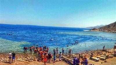  تضم العديد من الحيوانات البرية و165 نوعا من النباتات.. أبرز المعلومات عن محمية أبو جالوم بـ دهب 