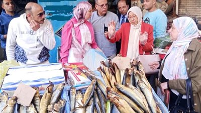 قبل شم النسيم.. ضبط نصف طن فسيخ ورنجة فاسدة وتحرير 106 مخالفات بالدقهلية 