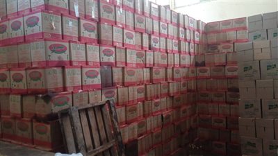 txt