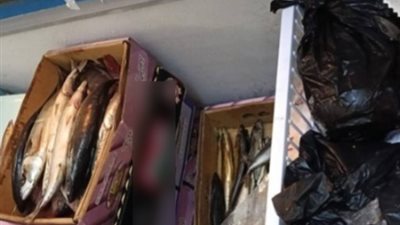 تزامنا مع شم النسيم.. ضبط 14 طن رنجة وفسيخ مجهولة المصدر في 3 محافظات بقصد الغش