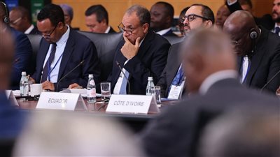 مصر تدعو إلى إعادة هيكلة النظام المالي العالمي 
