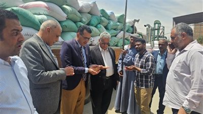 حتى 15 أغسطس المقبل.. بدء موسم توريد القمح المحلي في الأقصر وتحديد سعر الإردب
