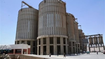 استعدادات مكثفة لتوريد القمح بسوهاج.. تجهيز 15 موقعًا و11 لجنة وصرف المستحقات خلال 48 ساعة