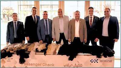 إحباط محاولة تهريب خصلات شعر طبيعي بجمارك مطار شرم الشيخ