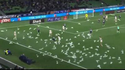 في مشهد لافت.. سرب طيور يقتحم مباراة في الدوري الأسترالي | فيديو