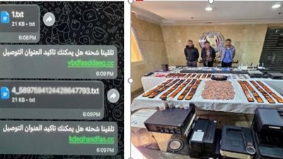سقوط تشكيل عصابي اشترك مع أجانب في الاحتيال على المواطنين بروابط وهمية وشعارات جهات حكومية مزيفة بالجيزة وقنا