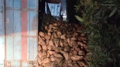 رفع سيارة نقل محملة بالبنجر تعطلّت على الطريق الدائري بالمنصورة 