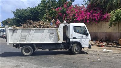 رفع 10 أطنان مخلفات وإغلاق 3 منشآت بحي وسط بالإسكندرية