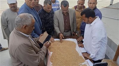 محافظ المنيا يعلن استلام أكثر من 9 آلاف طن قمح بالشون والصوامع