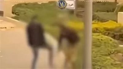 اليوم.. الحكم في استئناف رجل الأعمال المتهم بالاعتداء على فرد أمن كمبوند بالتجمع الخامس على حبسه سنة