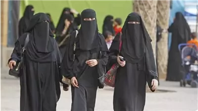 ردا على ضجة النقاب.. رئيس الهيئة العليا للنور: الوطن لا يتحمل الصيد في الماء العكر