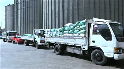 محافظ البحيرة: توريد 1748 طن قمح حتى صباح اليوم.. ومتابعة يومية لمنظومة التوريد