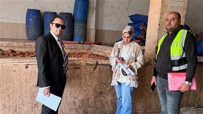 تموين الدقهلية: ضبط 32 طن مخلل فاسد و150 أسطوانة غاز