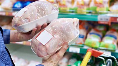 أسعار الدواجن البيضاء اليوم الجمعة 1-5-2026.. بكام الهياكل والبانيه؟ 